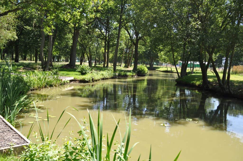 Snake water 3 (4)