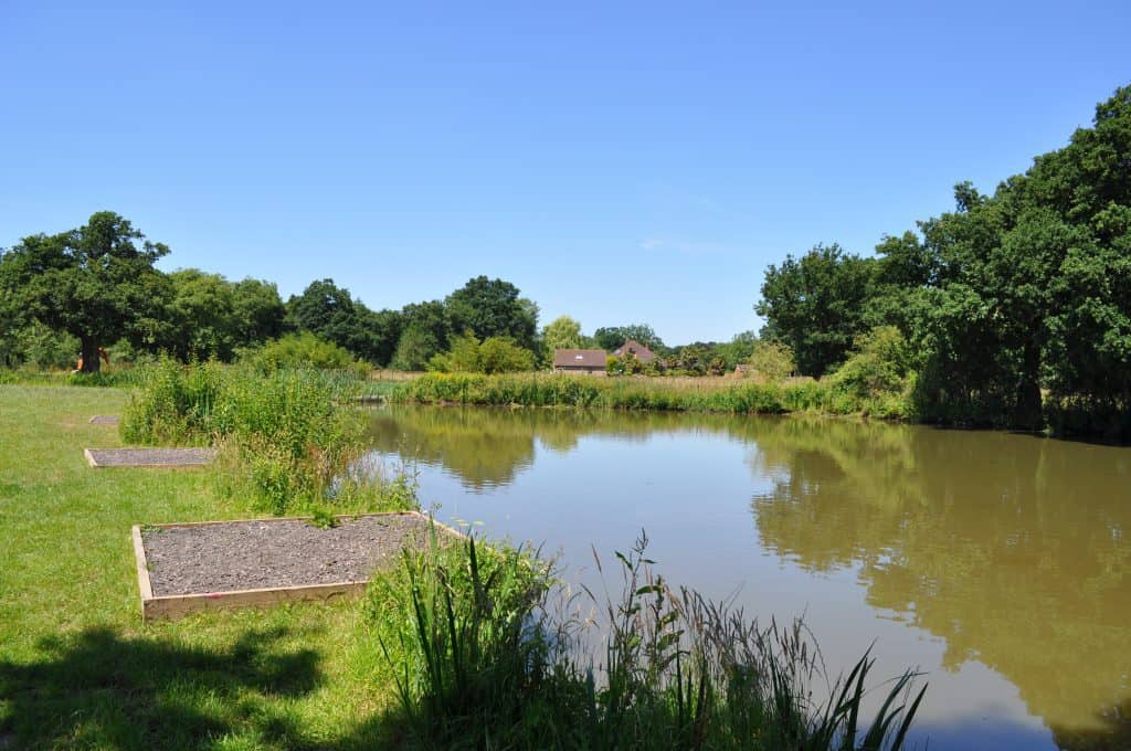 Specimen lake 5 (1)