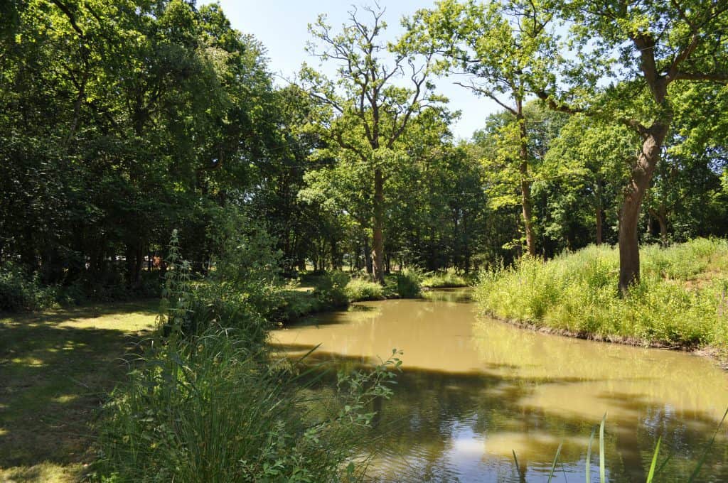 Woodland lake 4 (3)