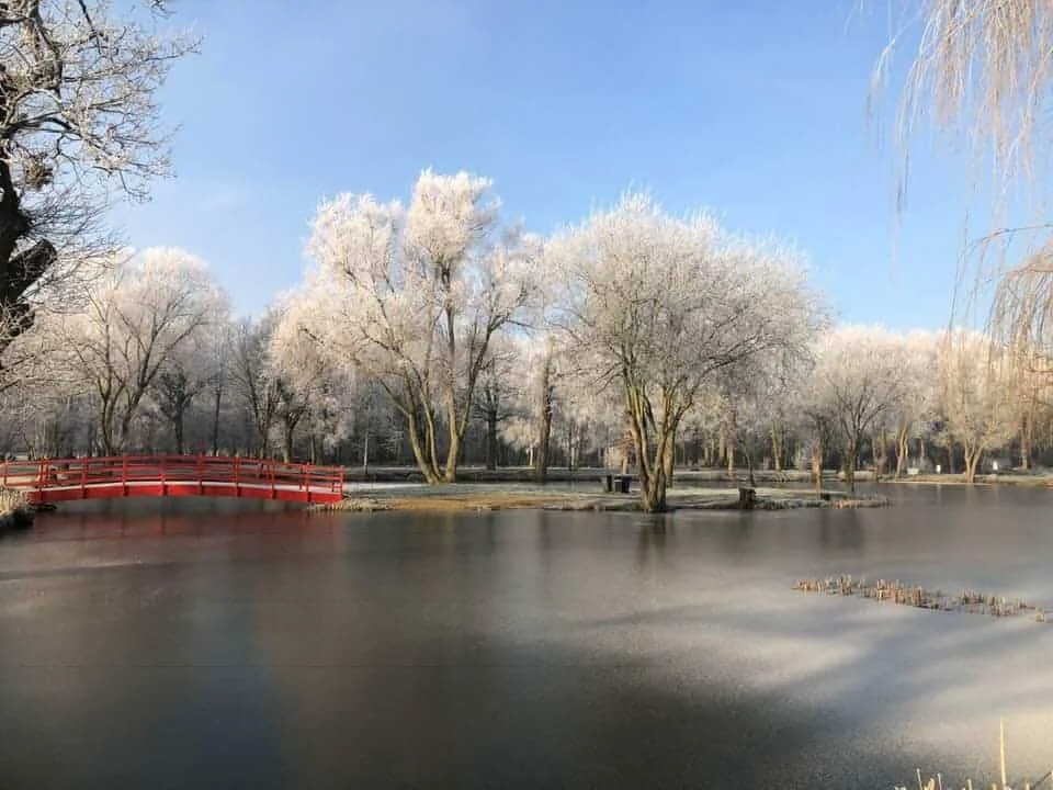 Winter landscape at Pondwood Fisheries with frosted trees and a frozen pond.