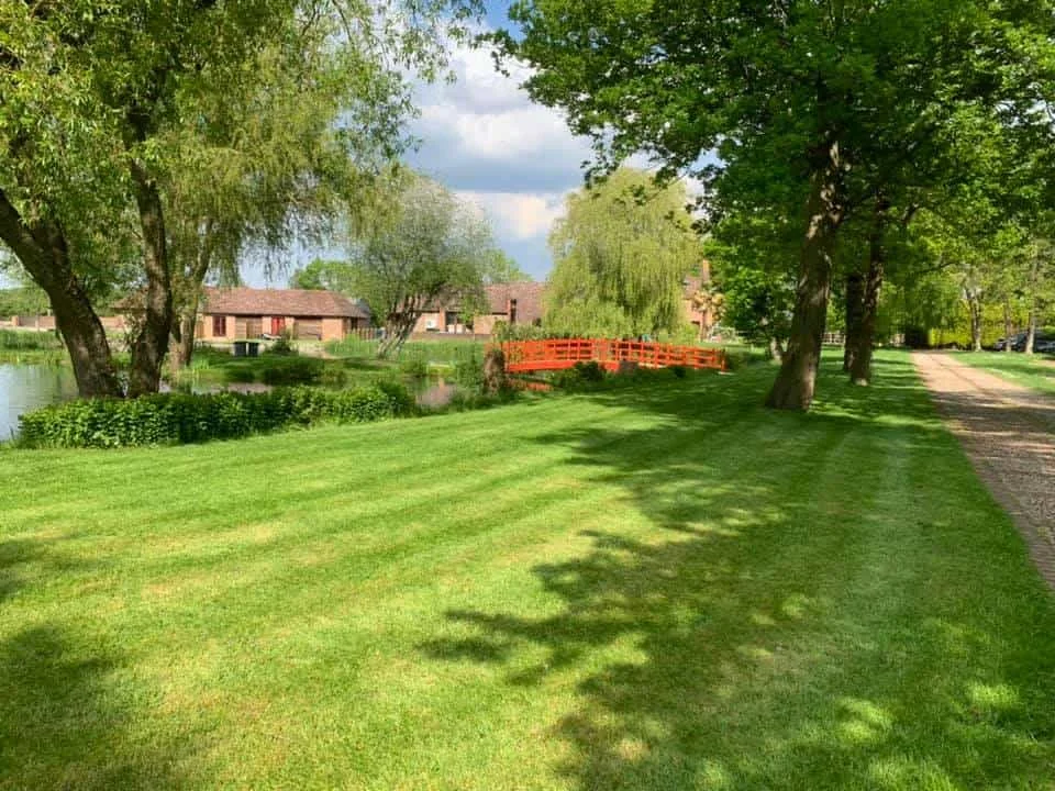 Tranquil lakeside scene at Pondwood Fisheries with lush green grass and trees.