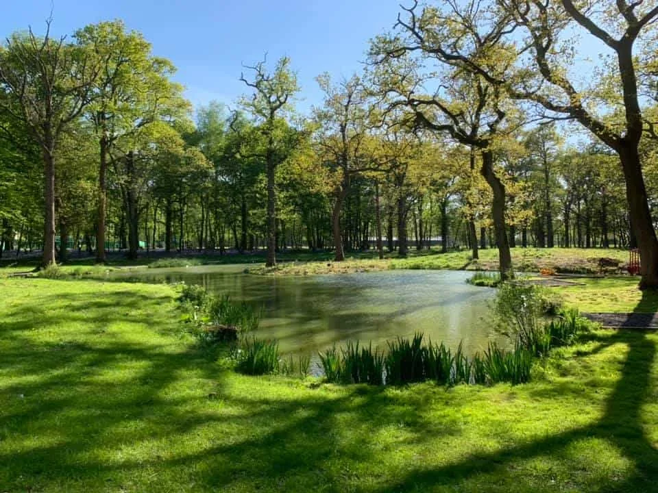 Tranquil pond at Pondwood Fisheries with lush trees and vibrant greenery.