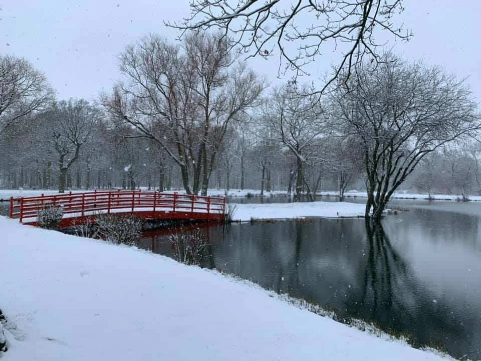 Winter landscape at Pondwood Fisheries with snow-covered trees and a red bridge over a calm pond.